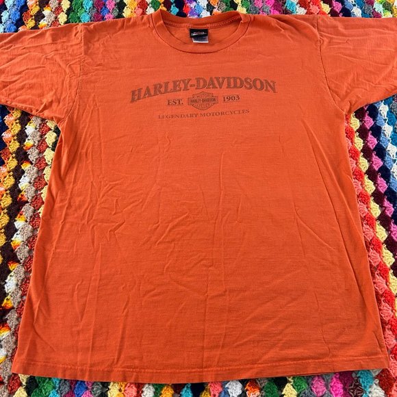2010s Harley-Davidson Roanoke Virginia Train 611 Oversized Tee Motorcycl… - Picture 6 of 12